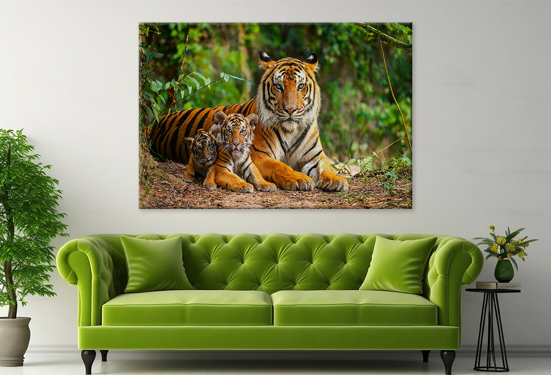 Bengal Tiger with Cubs in Forest Wall Art Decor 100% Australian Made - Bella Home Decor