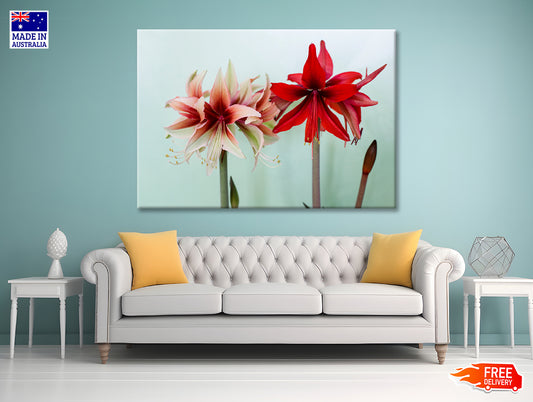 A Group of Red Lily Flowers Print 100% Australian Made