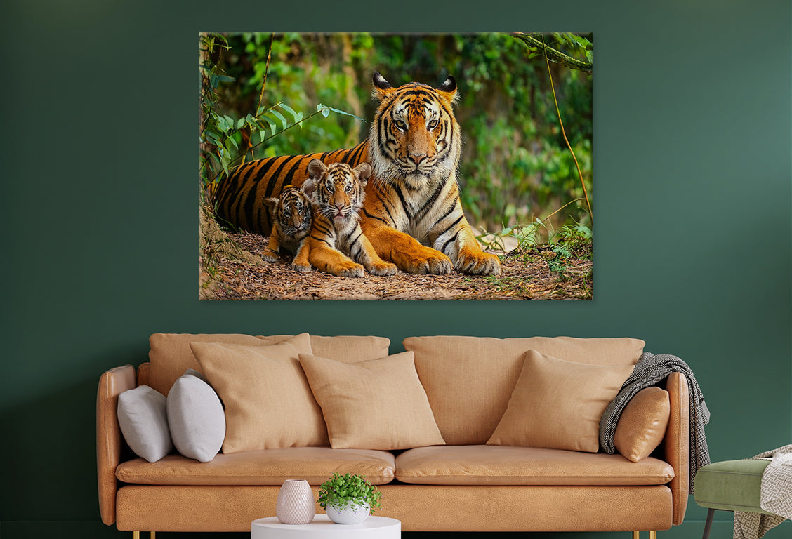 Bengal Tiger with Cubs in Forest Wall Art Decor 100% Australian Made - Bella Home Decor