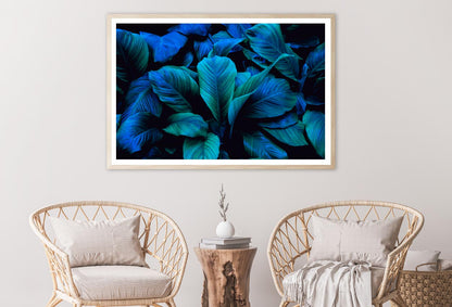 Leaves Of Spathiphyllum Cannifolium Home Decor Premium Quality Poster Print Choose Your Sizes