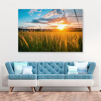 Peaceful Grassland Scenery on Sunset Acrylic Glass Print Tempered Glass Wall Art 100% Made in Australia Ready to Hang