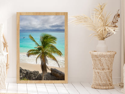 Palm Tree & Rocks near Beach Photograph Glass Framed Wall Art, Ready to Hang Quality Print Without White Border Oak