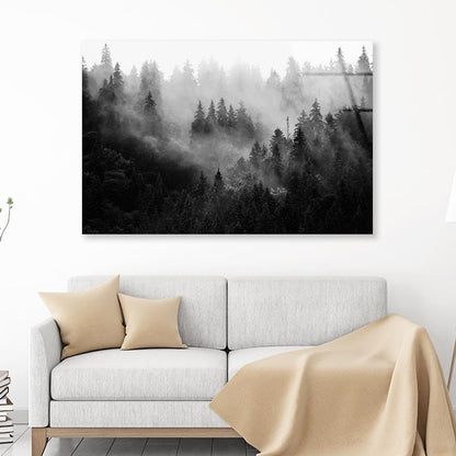 Trees In Mist Black and White Acrylic Glass Print Tempered Glass Wall Art 100% Made in Australia Ready to Hang