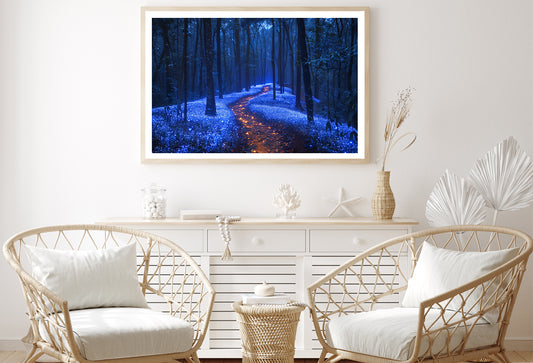 Footpath in the Forest View Home Decor Premium Quality Poster Print Choose Your Sizes