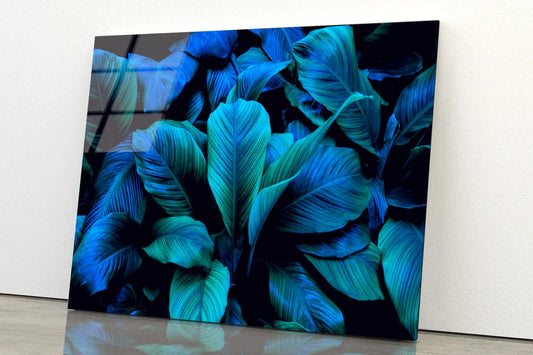 Leaves Of Spathiphyllum Cannifolium Acrylic Glass Print Tempered Glass Wall Art 100% Made in Australia Ready to Hang