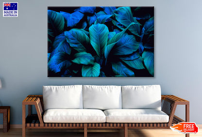 Leaves Of Spathiphyllum Cannifolium Wall Art Decor 100% Australian Made