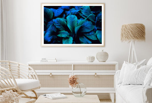 Leaves Of Spathiphyllum Cannifolium Home Decor Premium Quality Poster Print Choose Your Sizes