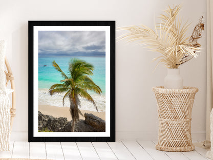 Palm Tree & Rocks near Beach Photograph Glass Framed Wall Art, Ready to Hang Quality Print With White Border Black