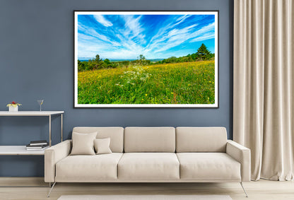 Flowering Meadow with Cirrus Cloud in the Sky Home Decor Premium Quality Poster Print Choose Your Sizes