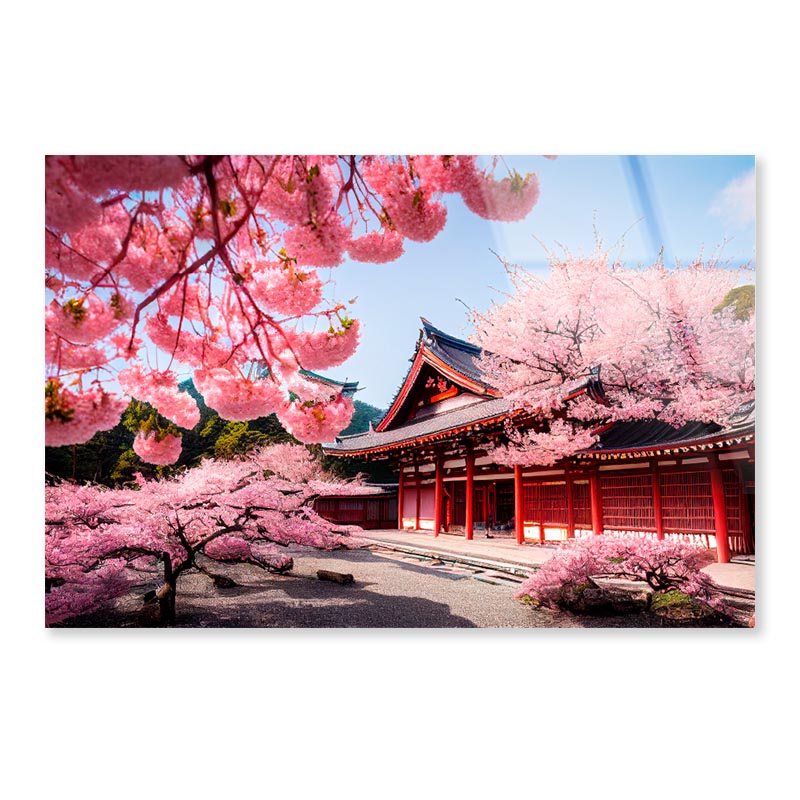 Building With a Lot of Pink Flowers Acrylic Glass Print Tempered Glass Wall Art 100% Made in Australia Ready to Hang