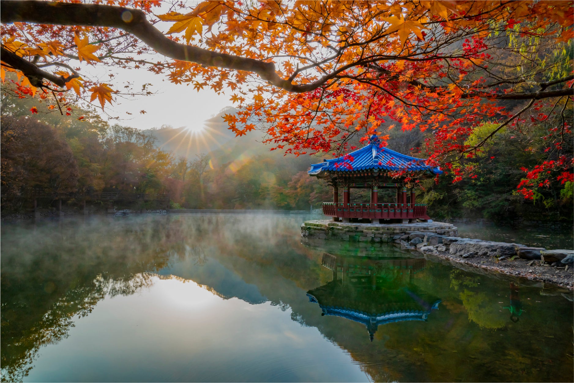 Autumn Leaves On Shore Of The Lake Glass Framed Wall Art, Ready to Hang Quality Print