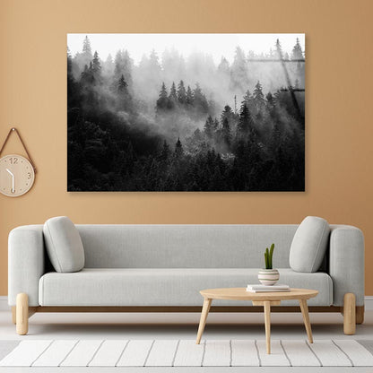 Trees In Mist Black and White Acrylic Glass Print Tempered Glass Wall Art 100% Made in Australia Ready to Hang