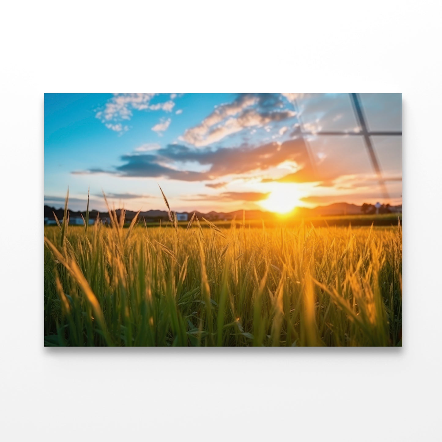 Peaceful Grassland Scenery on Sunset Acrylic Glass Print Tempered Glass Wall Art 100% Made in Australia Ready to Hang