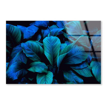 Leaves Of Spathiphyllum Cannifolium Acrylic Glass Print Tempered Glass Wall Art 100% Made in Australia Ready to Hang