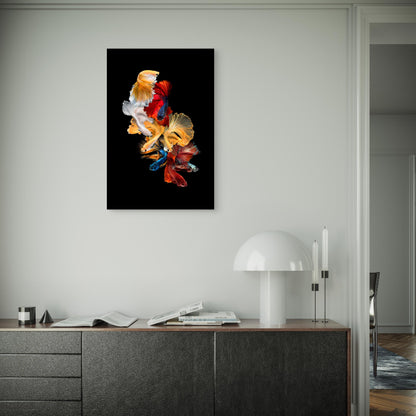 Colorful Siamese Fighting Fish Betta 40x60cm Metal Print Ready to Hang
