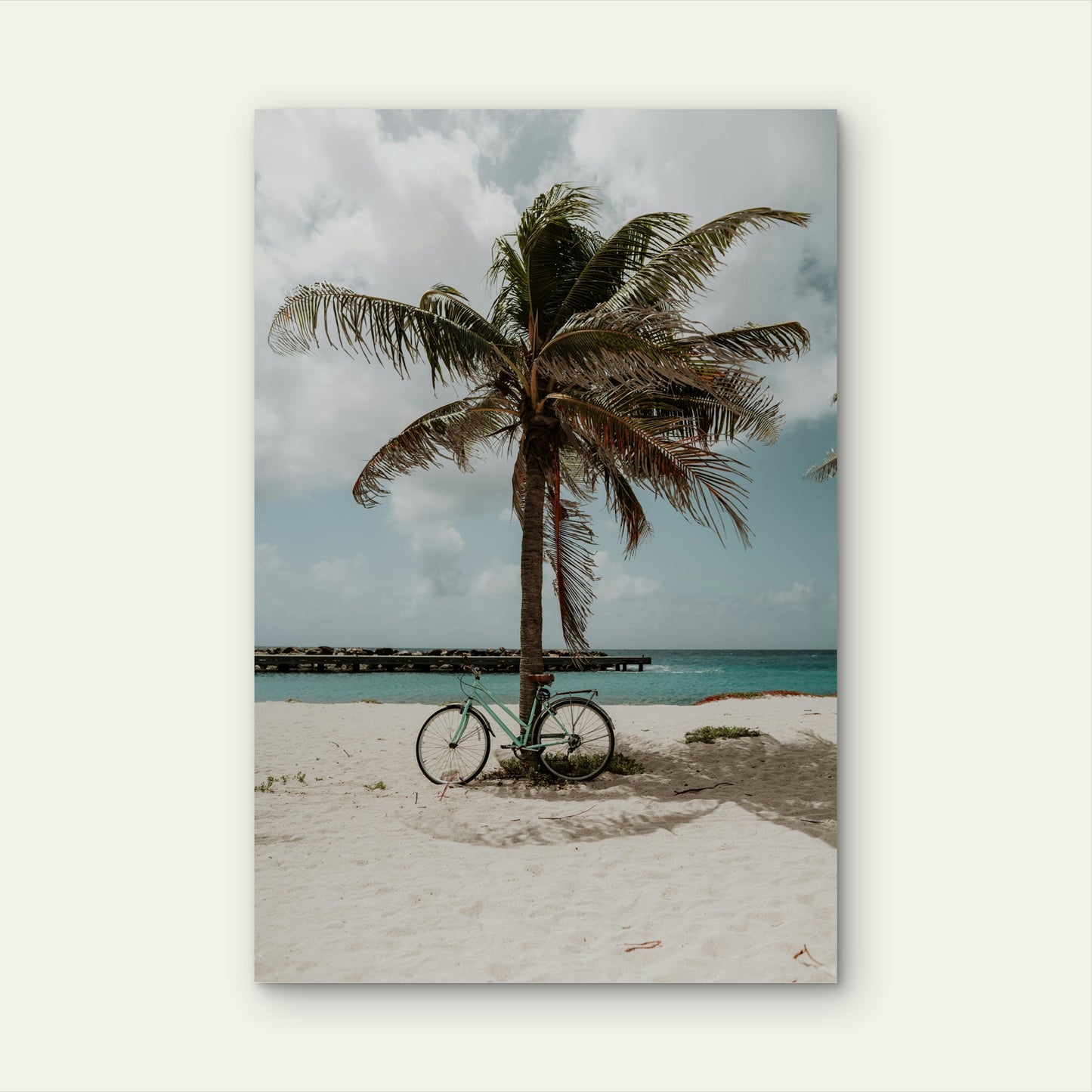 Cycling On Curaçao A Tiny Island In The Caribbean 40x60cm Metal Print Ready to Hang