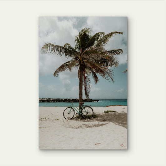 Cycling On Curaçao A Tiny Island In The Caribbean 60x90cm Metal Print Ready to Hang