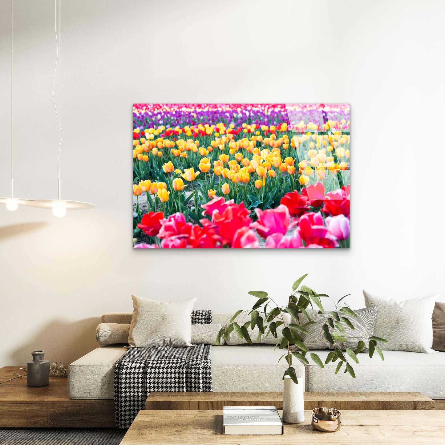 Colorful Tulip Flower Field Acrylic Glass Printing Wall Art Australian Made Quality