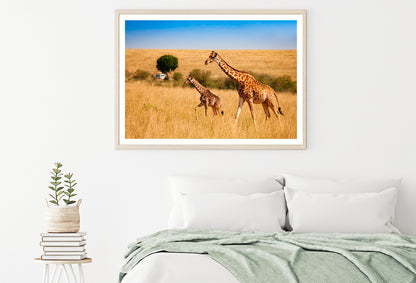 View of Two Giraffes and Safari Car in Kenya Home Decor Premium Quality Poster Print Choose Your Sizes