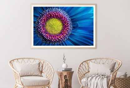 Gerbera Flower Close Up View Home Decor Premium Quality Poster Print Choose Your Sizes