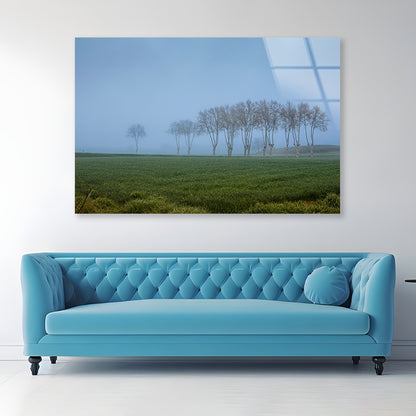 A Grassy Field with Trees, Clear Sky and Some Mist Acrylic Glass Print Tempered Glass Wall Art 100% Made in Australia Ready to Hang