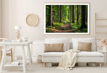 Forest Path through Tall Trees Home Decor Premium Quality Poster Print Choose Your Sizes