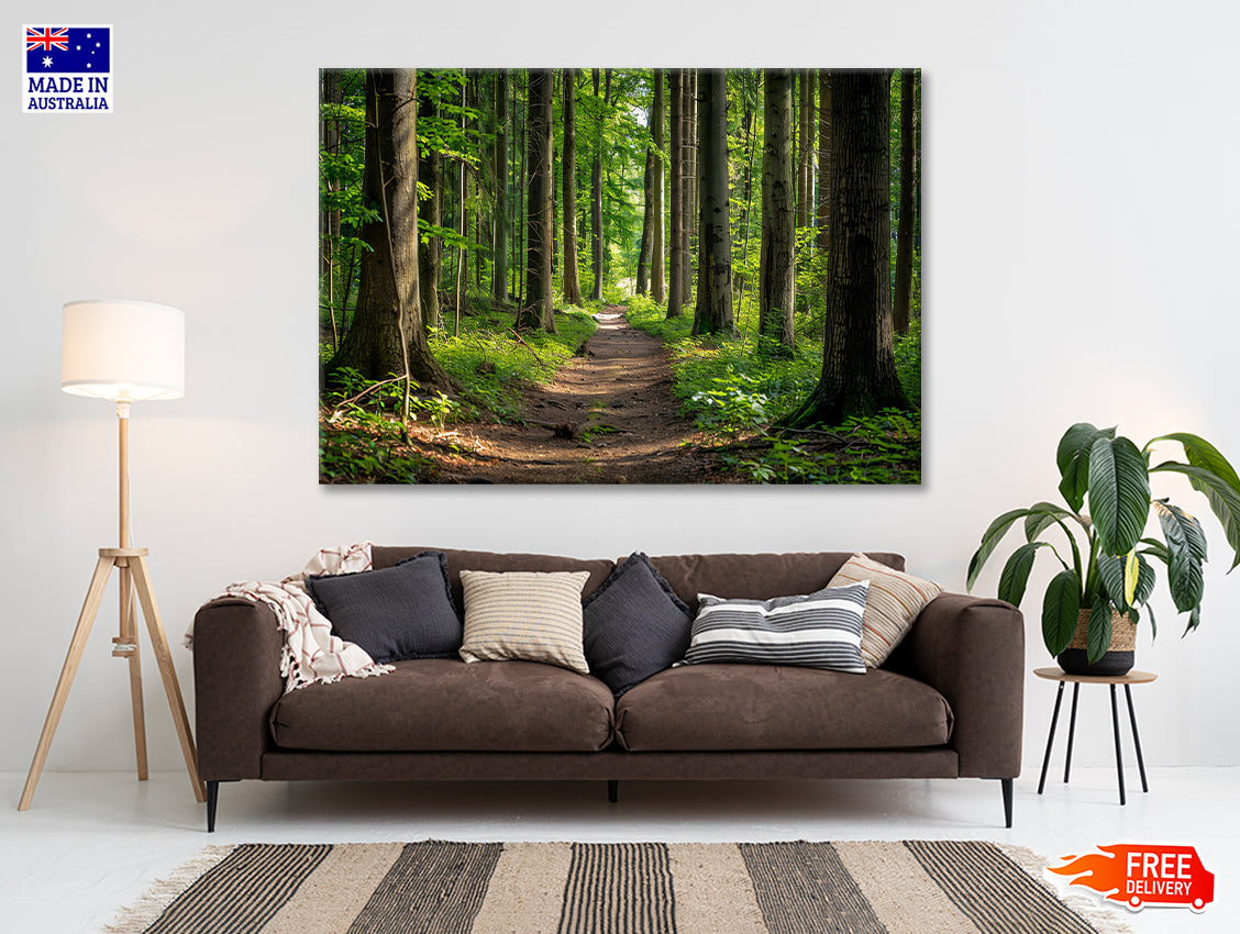 Forest Path through Tall Trees Print 100% Australian Made - Bella Home Decor