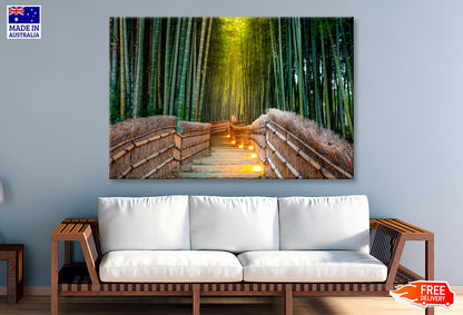 Arashiyama Bamboo Forest in Kyoto Japan  Wall Art Decor 100% Australian Made