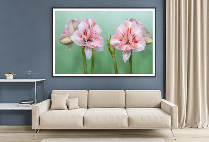 View of a Group of Pink Flowers Home Decor Premium Quality Poster Print Choose Your Sizes