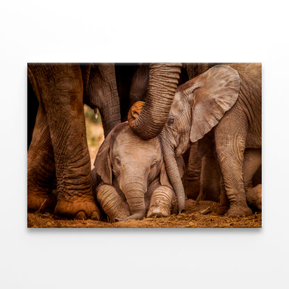 Baby Elephants with Caring Adult Wall Art Decor 100% Australian Made - Bella Home Decor