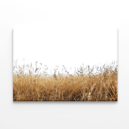 A Field Of Tall Grass under a Sky in winter Print 100% Australian Made