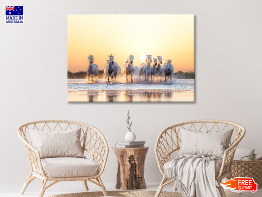 Herd Of Horses Running on Water Print 100% Australian Made