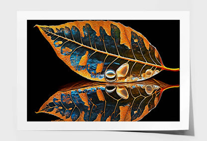 Skeletonized Transparent Leaf in Form of Curve Wall Art Limited Edition High Quality Print