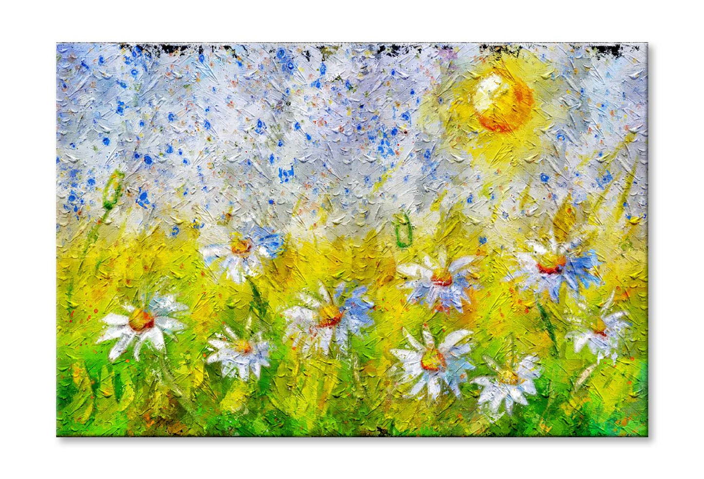 Beautiful Floral Background With Chamomile Flowers Wall Art Limited Edition High Quality Print