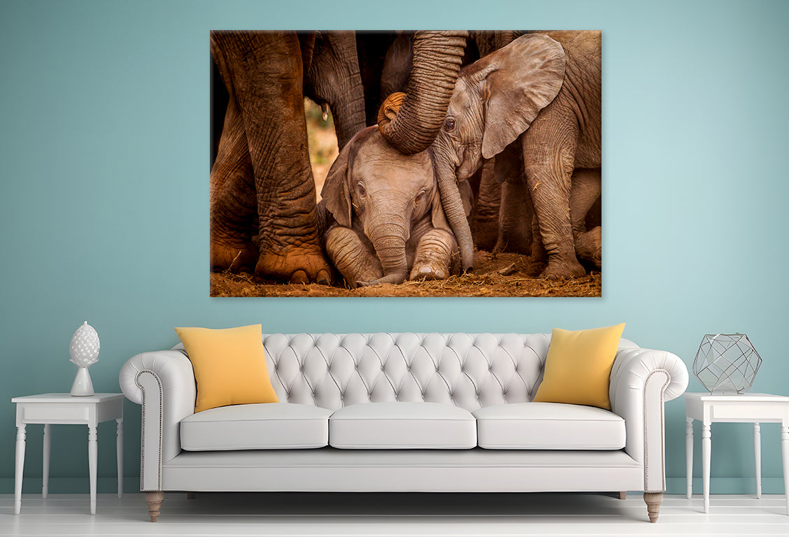 Baby Elephants with Caring Adult Wall Art Decor 100% Australian Made - Bella Home Decor
