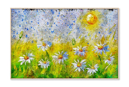 Beautiful Floral Background With Chamomile Flowers Wall Art Limited Edition High Quality Print