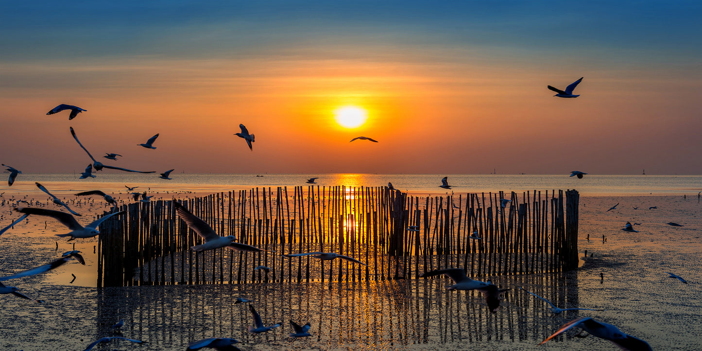 Sunset With Silhoutte Birds Flying Wall Art Canvas Office Home Room Framed 120x60cm