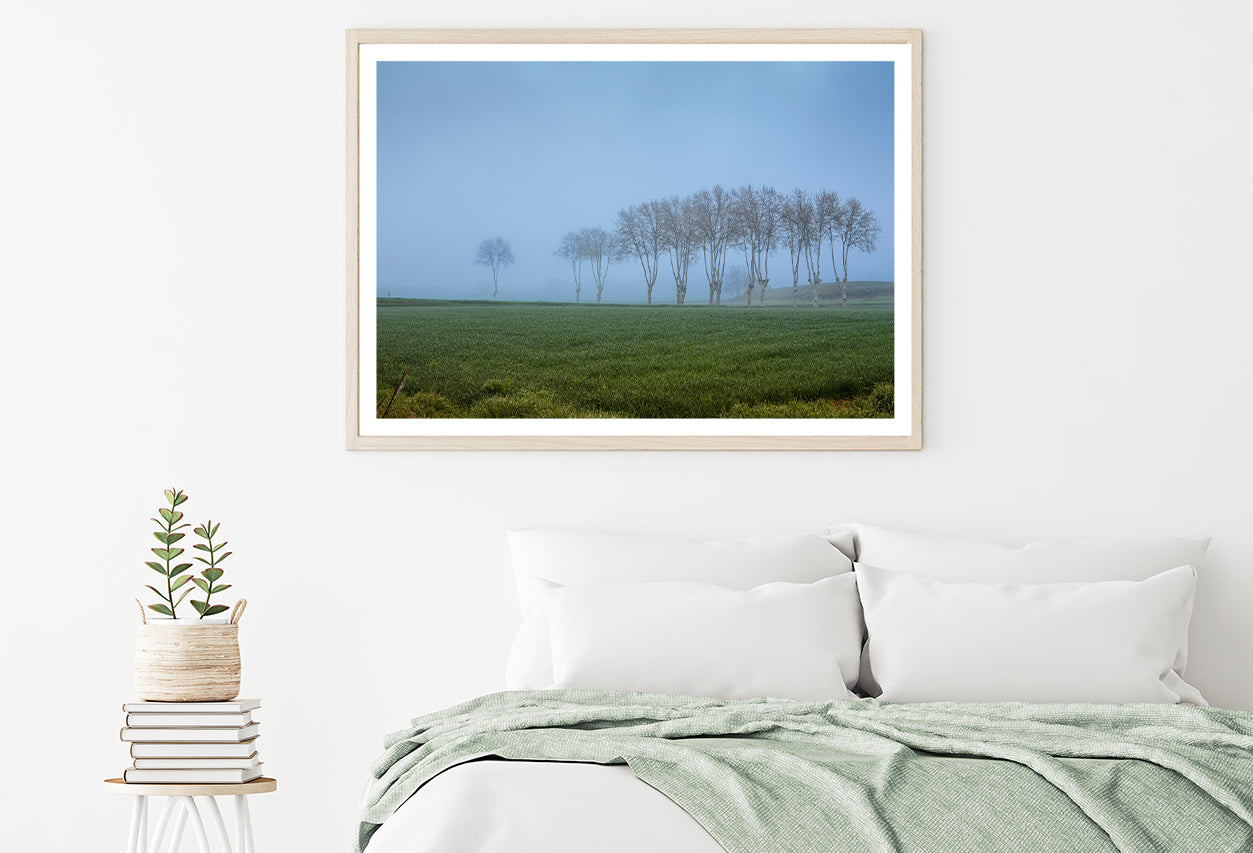 A Grassy Field with Trees, Clear Sky and Some Mist Home Decor Premium Quality Poster Print Choose Your Sizes - Bella Home Decor