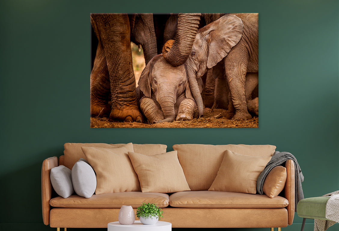 Baby Elephants with Caring Adult Wall Art Decor 100% Australian Made - Bella Home Decor