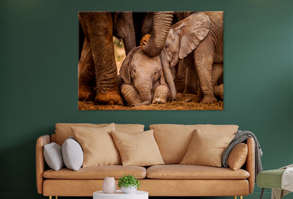 Baby Elephants with Caring Adult Wall Art Decor 100% Australian Made - Bella Home Decor