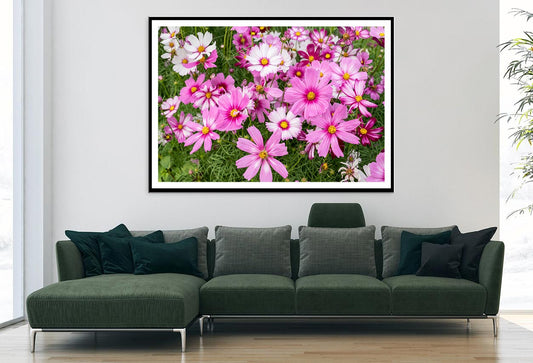 Cosmos Flowers In Green Meadow Home Decor Premium Quality Poster Print Choose Your Sizes