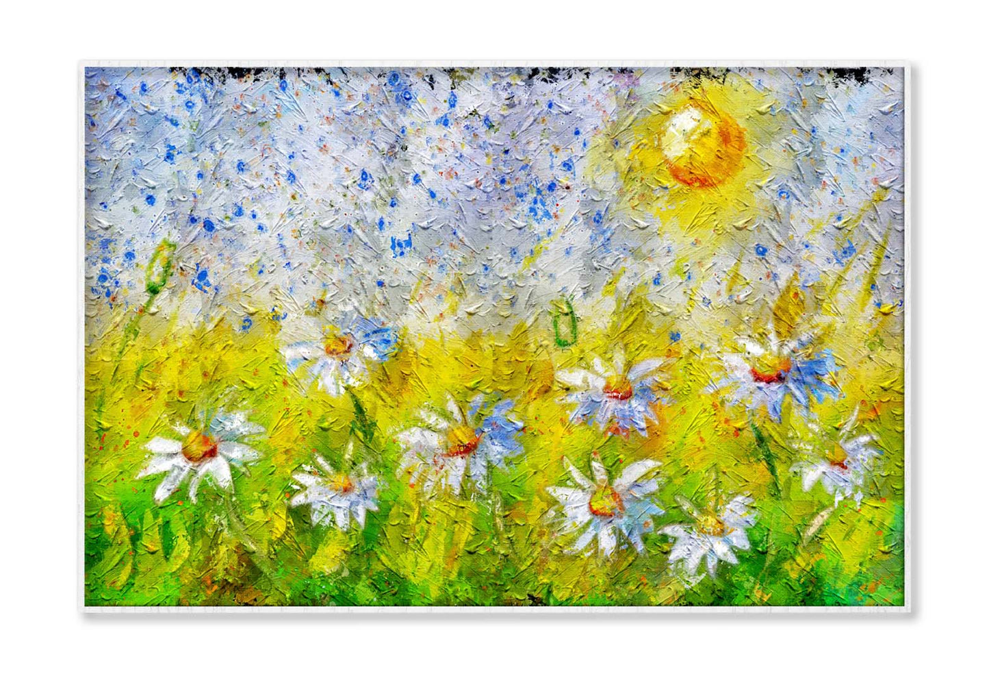 Beautiful Floral Background With Chamomile Flowers Wall Art Limited Edition High Quality Print