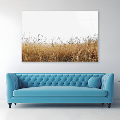 A Field Of Tall Grass under a Sky in winter Acrylic Glass Print Tempered Glass Wall Art 100% Made in Australia Ready to Hang