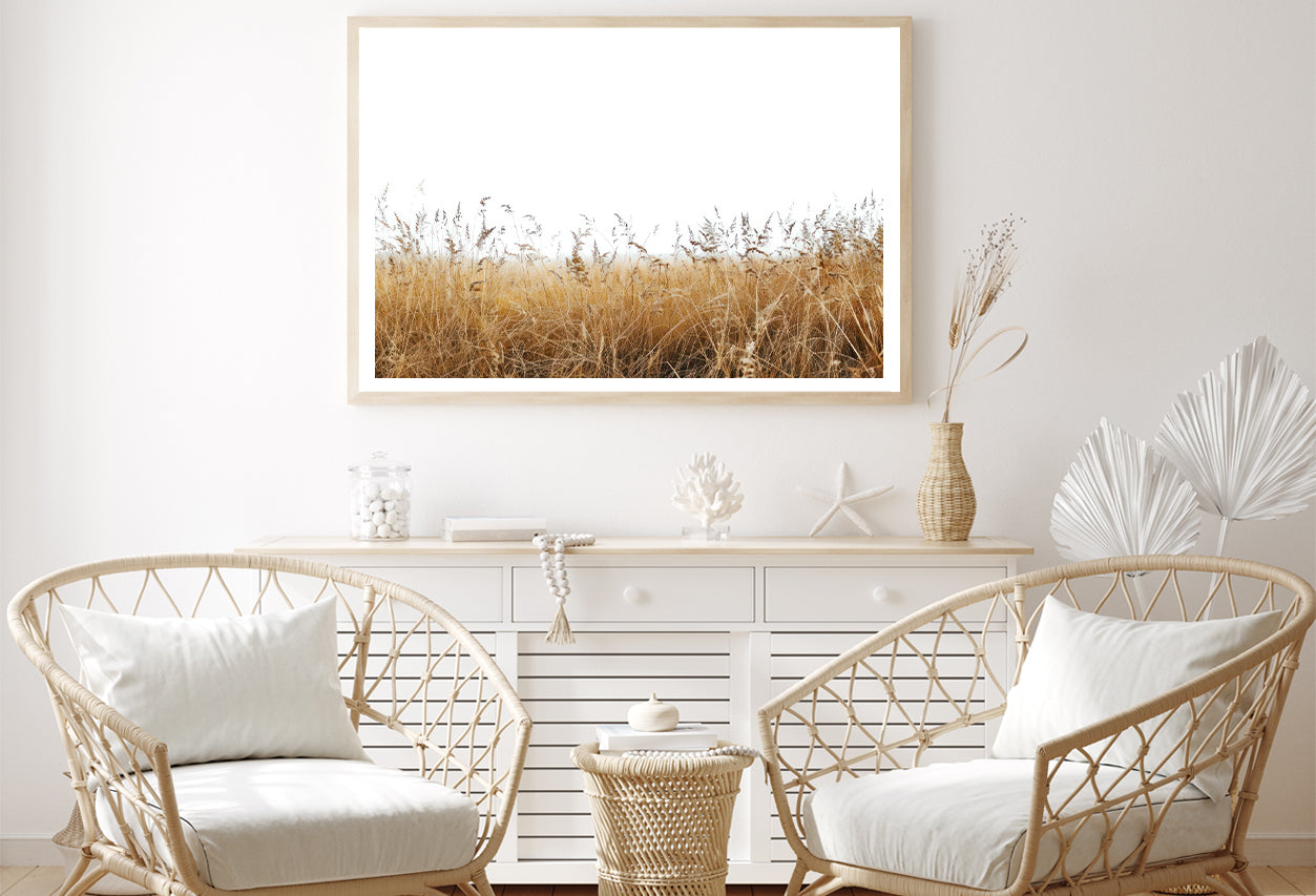 A Field Of Tall Grass under a Sky in winter Home Decor Premium Quality Poster Print Choose Your Sizes