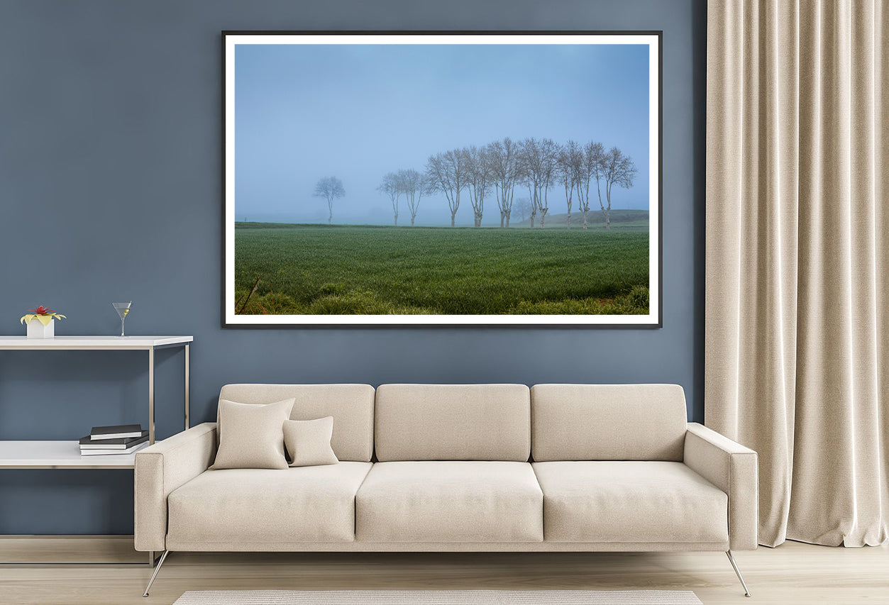 A Grassy Field with Trees, Clear Sky and Some Mist Home Decor Premium Quality Poster Print Choose Your Sizes - Bella Home Decor
