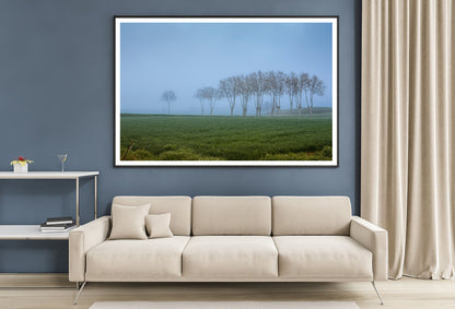 A Grassy Field with Trees, Clear Sky and Some Mist Home Decor Premium Quality Poster Print Choose Your Sizes - Bella Home Decor
