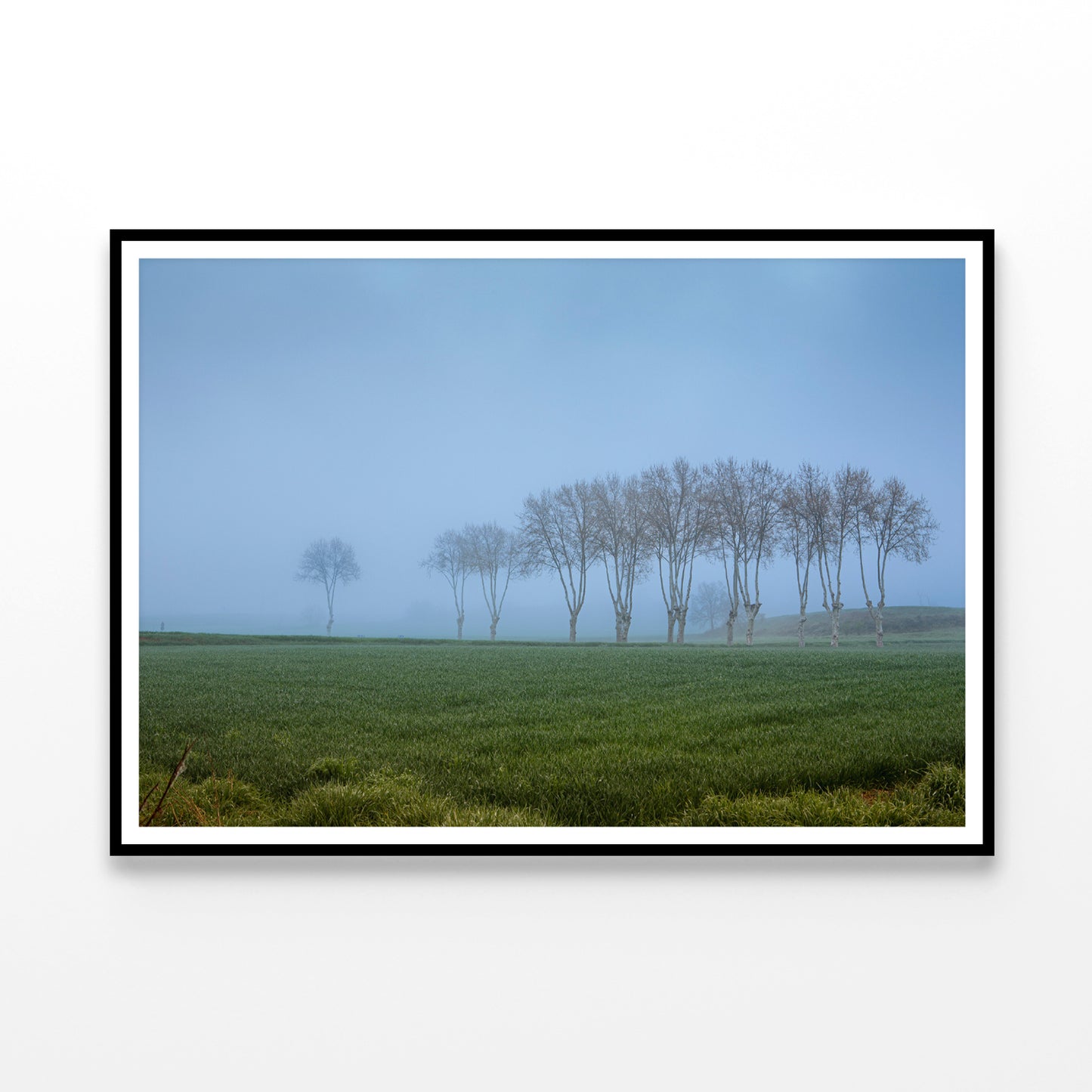 A Grassy Field with Trees, Clear Sky and Some Mist Home Decor Premium Quality Poster Print Choose Your Sizes - Bella Home Decor