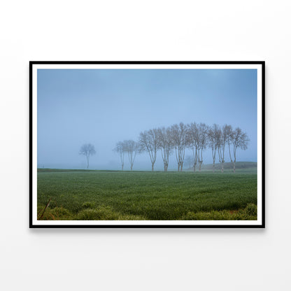 A Grassy Field with Trees, Clear Sky and Some Mist Home Decor Premium Quality Poster Print Choose Your Sizes - Bella Home Decor