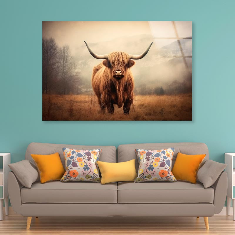 Close Up of Highland Cattle  Acrylic Glass Print Tempered Glass Wall Art 100% Made in Australia Ready to Hang