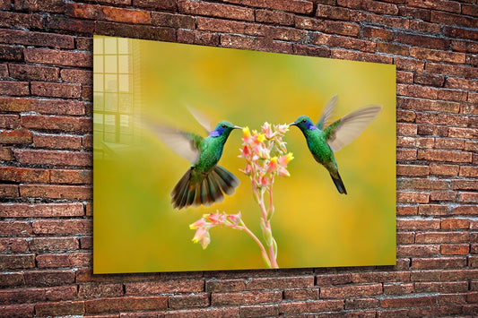 Hummingbirds & Flower UV Direct Aluminum Print Australian Made Quality